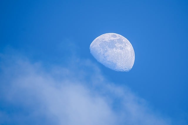 고용 24 실명 인증 안내
